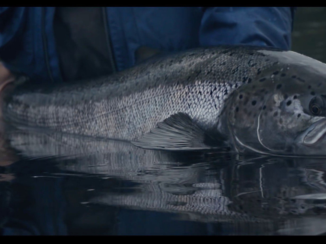 Stabbursdalen Lodge主图