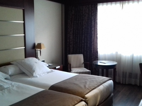 格拉纳达中心酒店主图