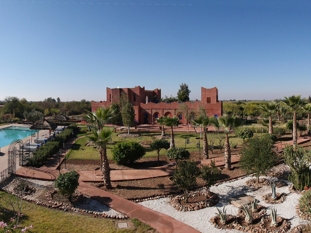 Riad Beloiseau主图