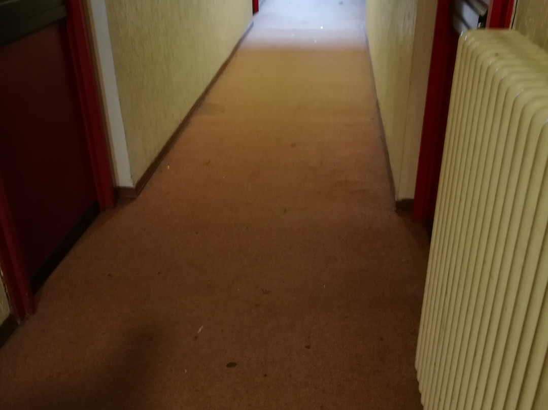 Delberg Palace Hotel主图