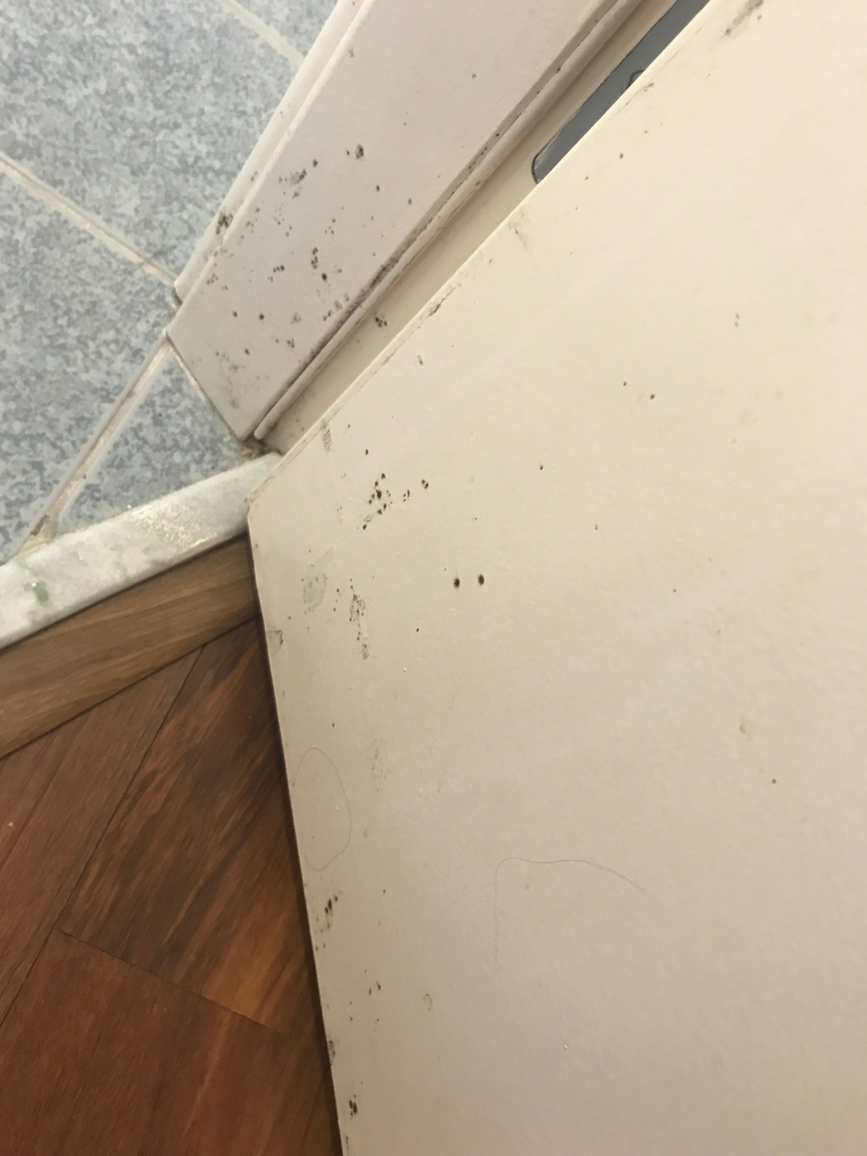 宜必思布卢梅瑙酒店-浴室