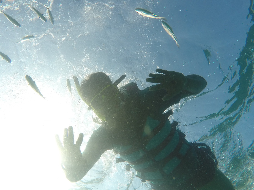 Coral Andaman-普吉镇必去景点