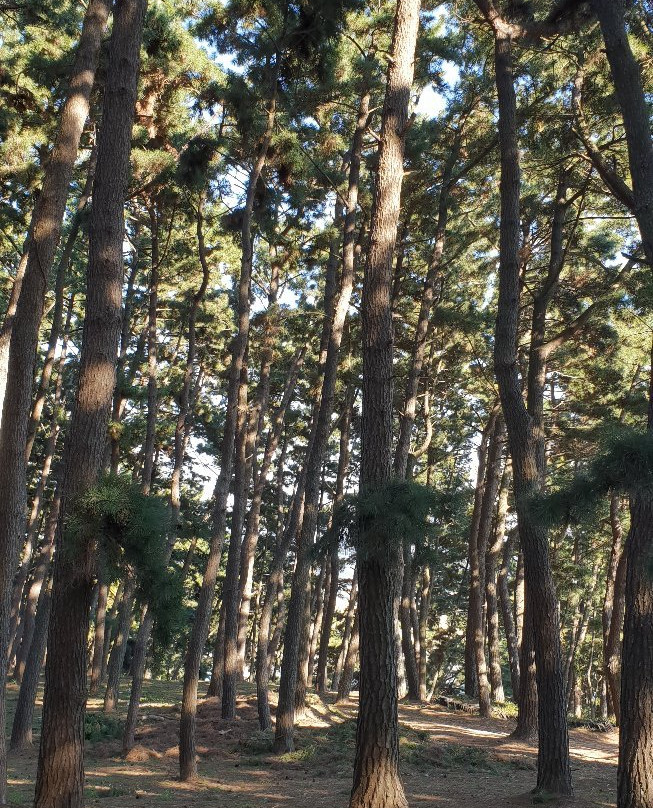 Sanghwawon-保宁市必去景点