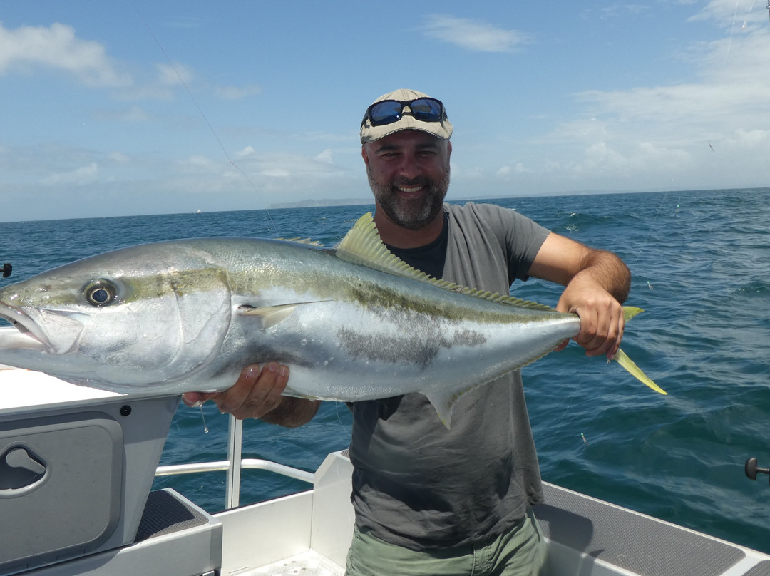 Northside Adventures-奥克兰中心地区必去景点