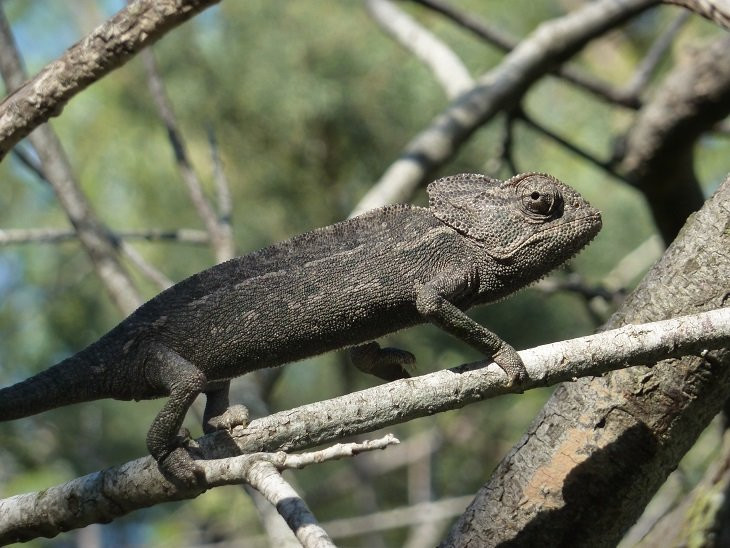 Simar Nature Reserve-Xemxija必去景点