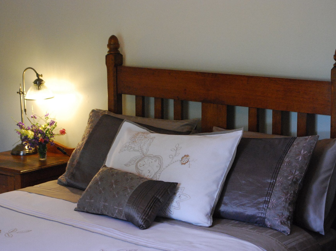 Maddies of Bolwarra主图