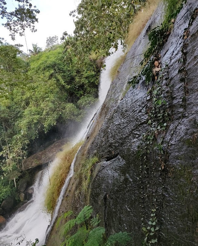 Areekkal Water Falls景点图片