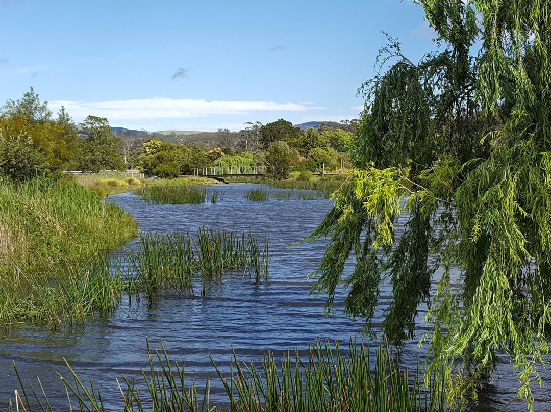 Idlewilde Town & Country Motor Inn主图