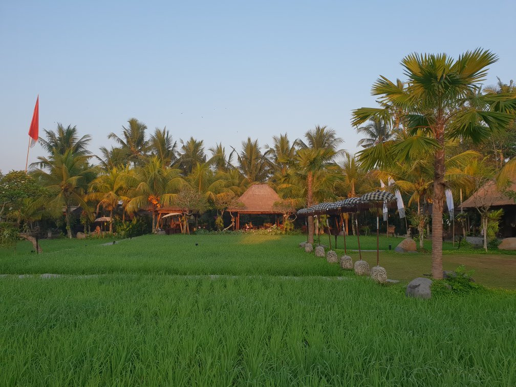 Bebek Tepi Sawah Spa景点图片