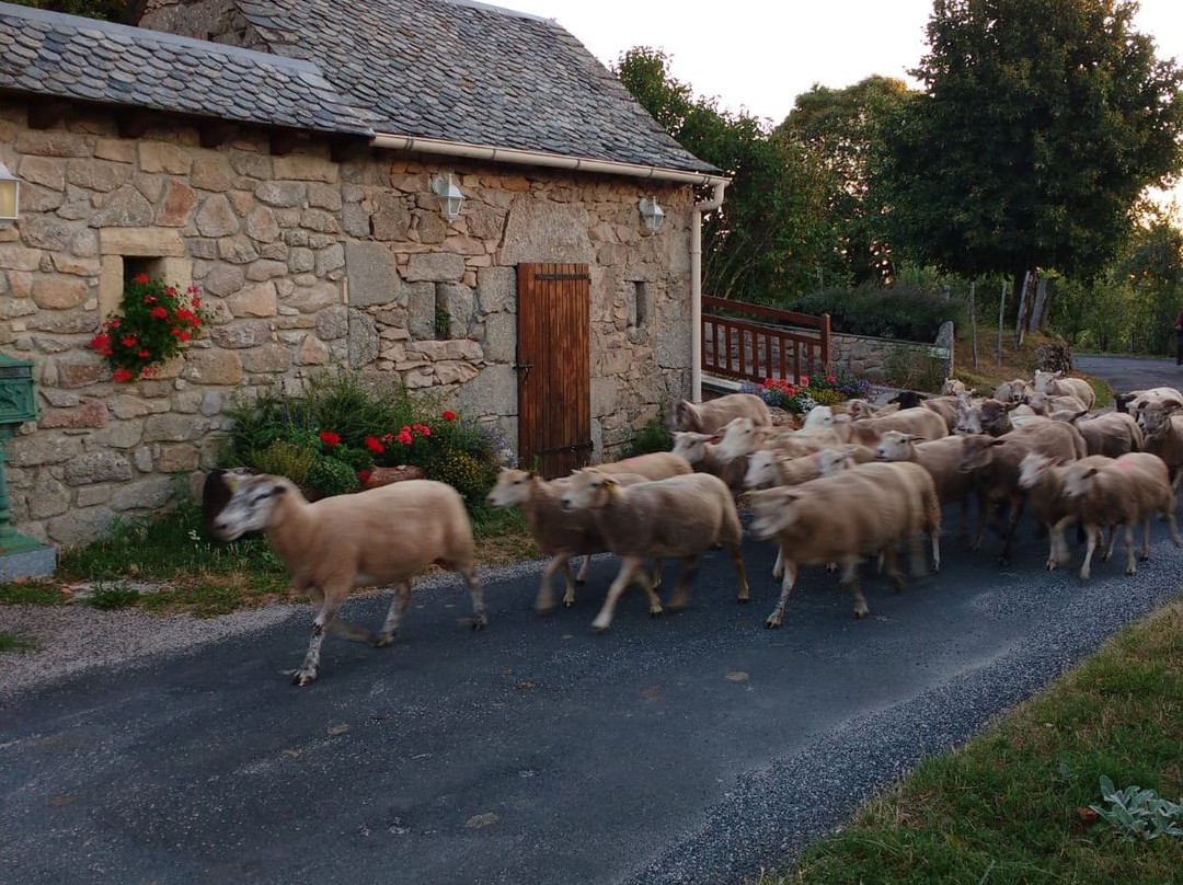 Gîte et Chambre d'hôtes Lo Soulenquo主图