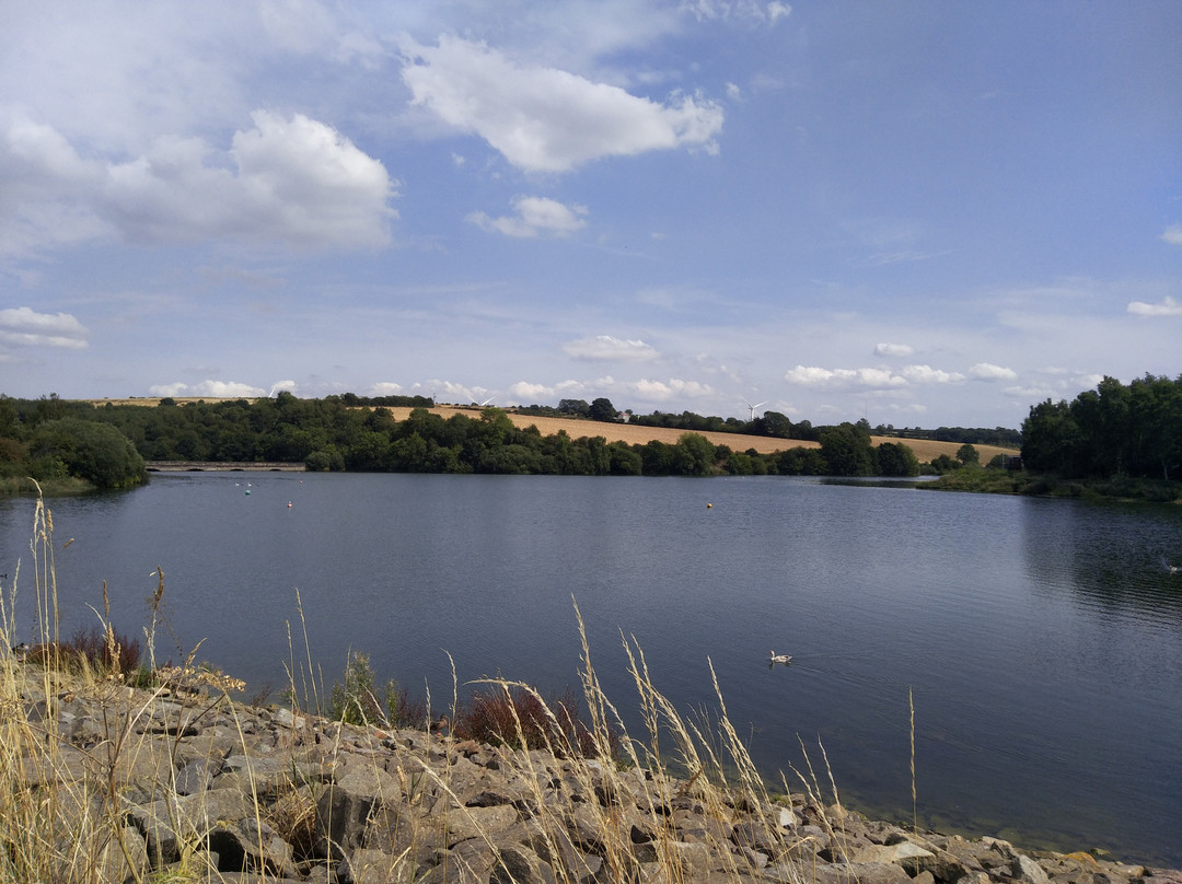 Ulley Reservoir Country Park景点图片