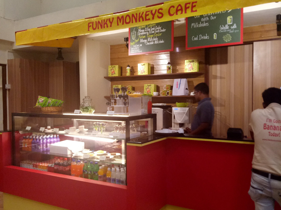 Funky Monkeys Play Center - Lower Parel景点图片