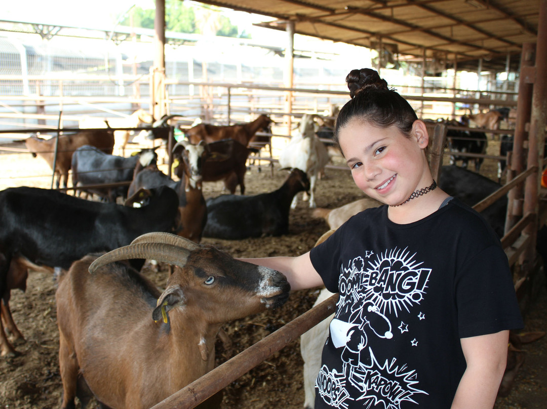 Sde Yo‘av旅游景点-Shmueli Farm