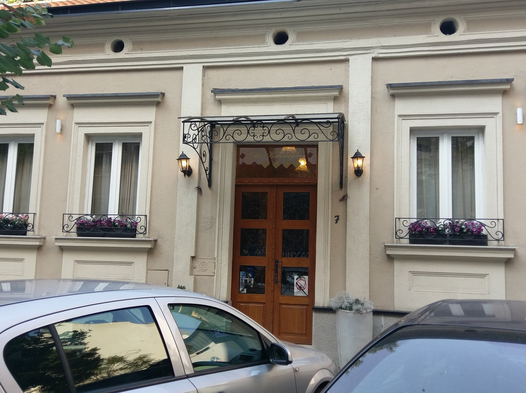 Hotel Villa Kalemegdan主图