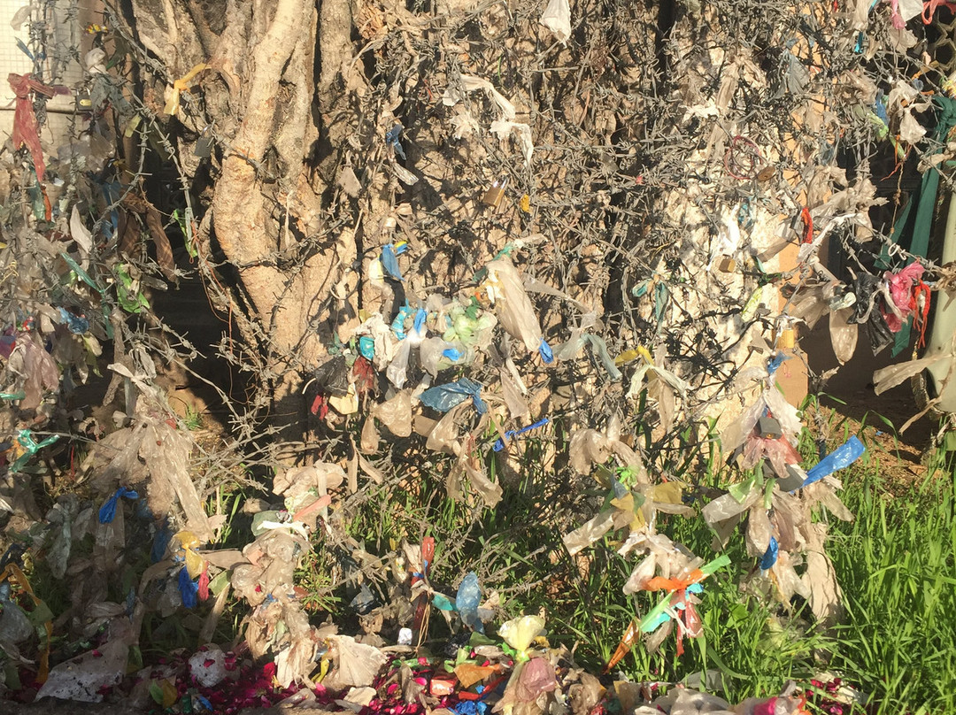 Bari Imam Shrine-伊斯兰堡必去景点