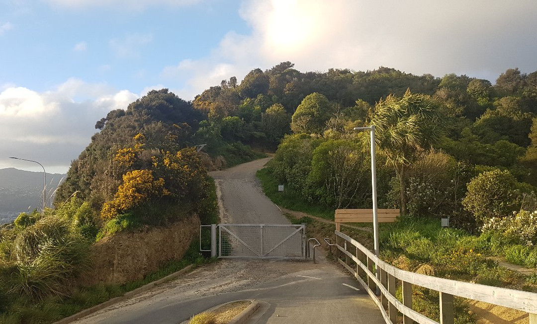Wainui Lookout景点图片