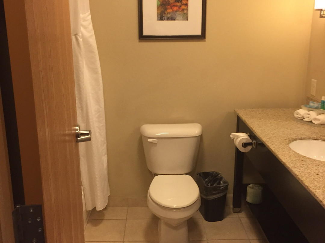 Holiday Inn Express & Suites Albert Lea - I-35 By IHG主图