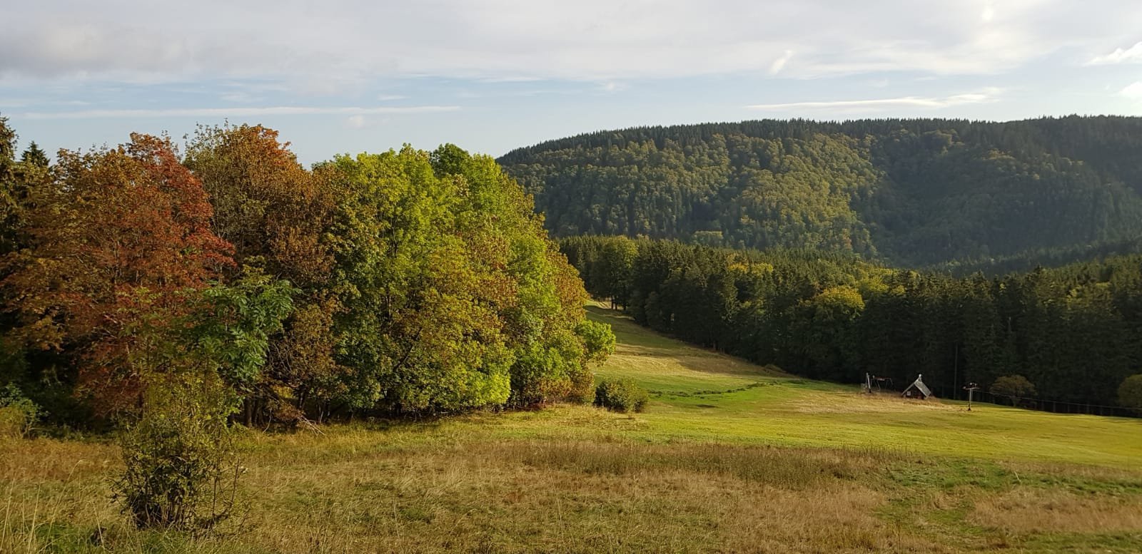 Hotel Zum Schneekopf-官方