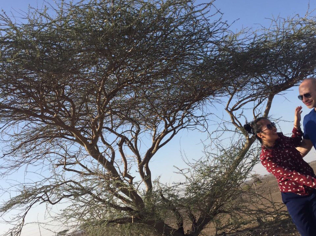 Kalba Corniche Park-富查伊拉必去景点