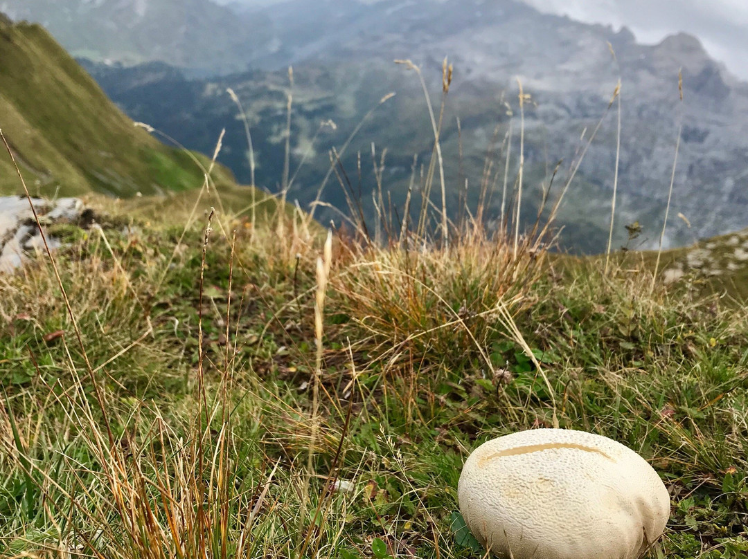 Hochstollen Wanderweg-Melchsee-Frutt必去景点
