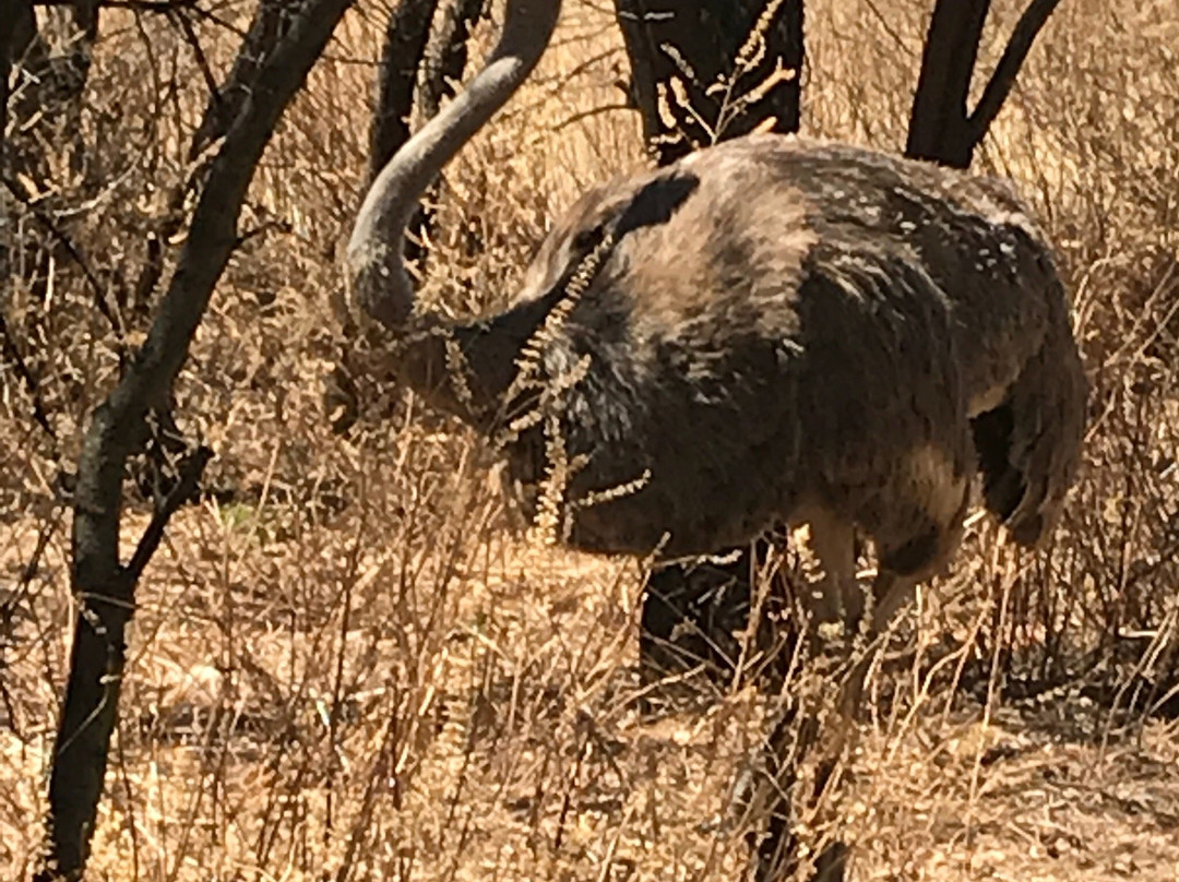 Moreleta Kloof Nature Reserve-比勒陀利亚必去景点