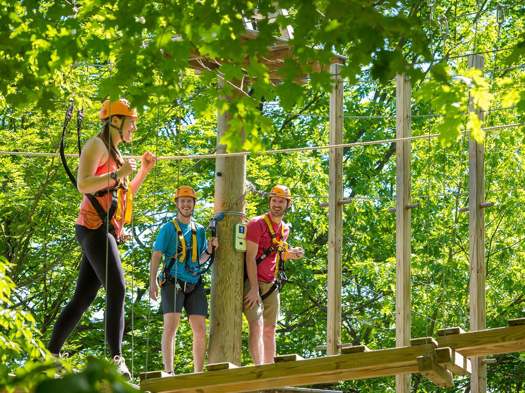 Timber Challenge High Ropes Course景点图片