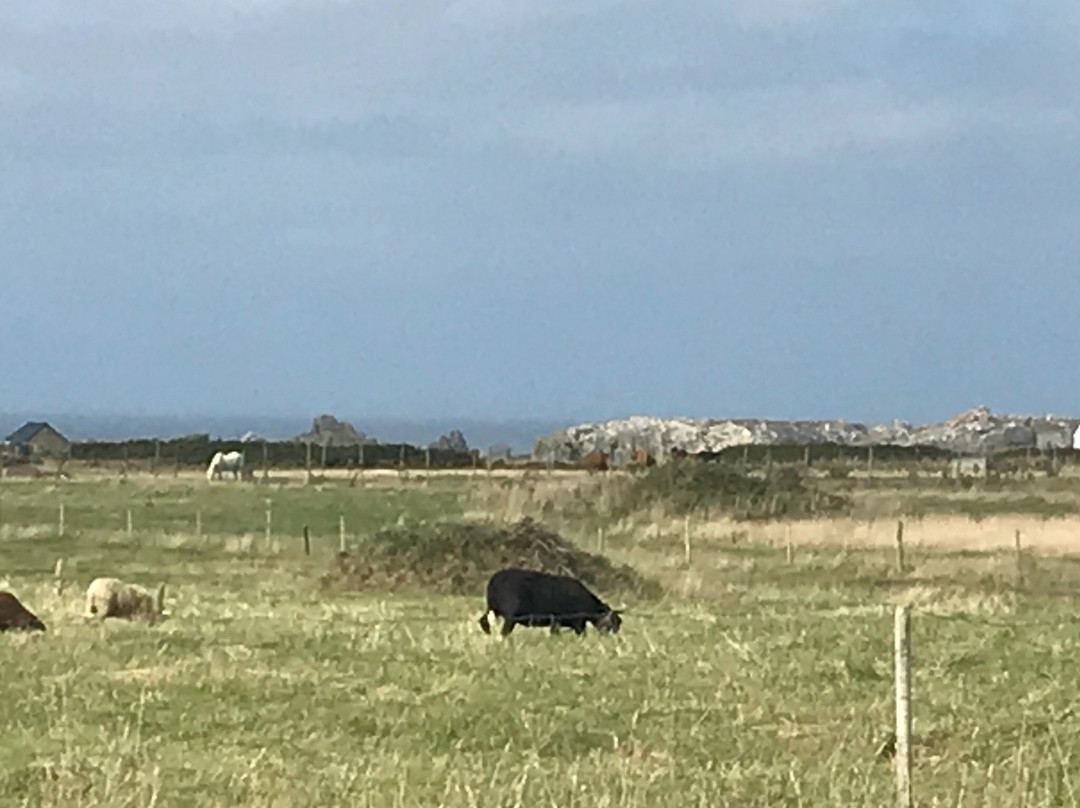 Ouessancycles-Ouessant必去景点