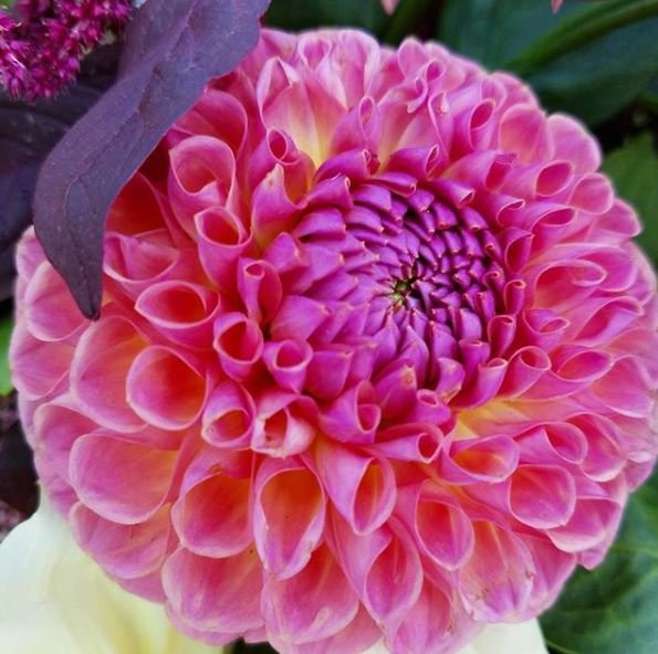 Vermont Bed And Breakfast At Russell Young Farm主图