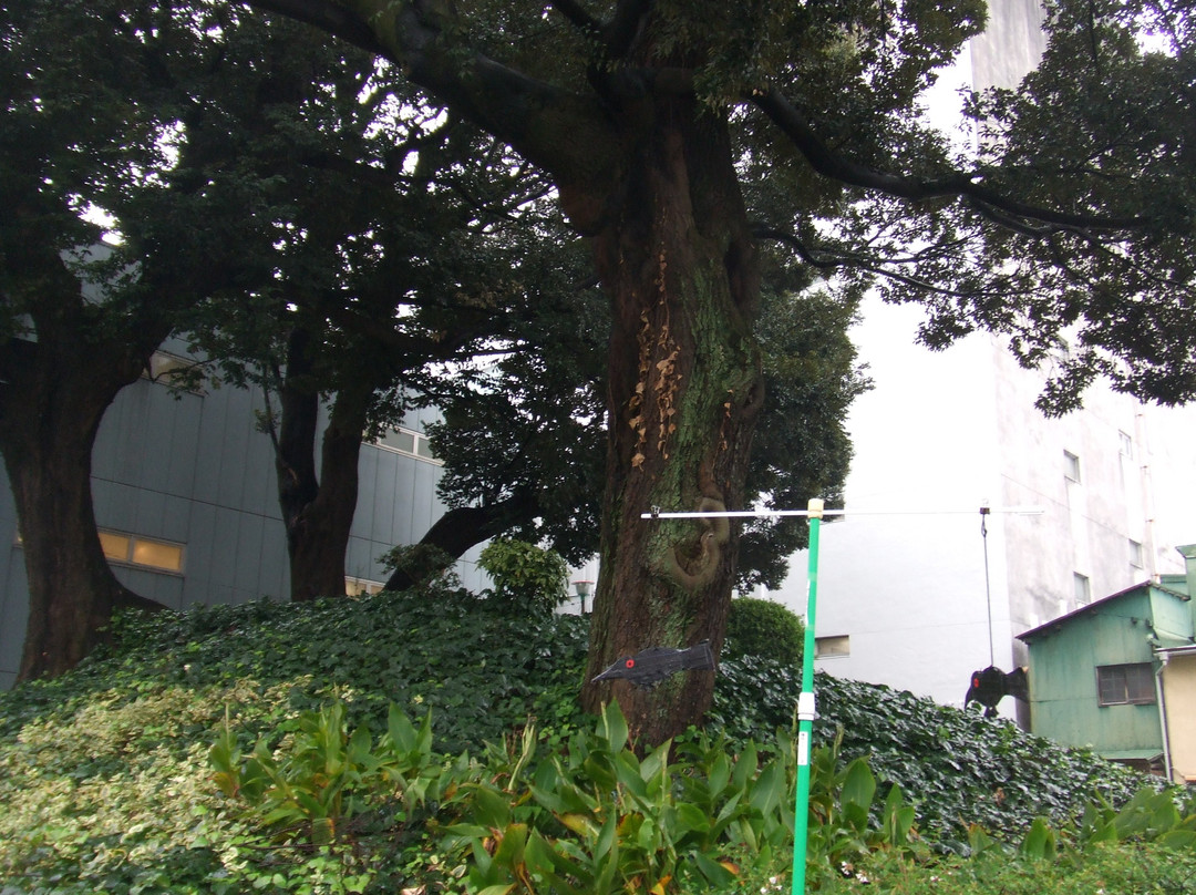 Nagonoyama Ancient Tomb-Osu必去景点