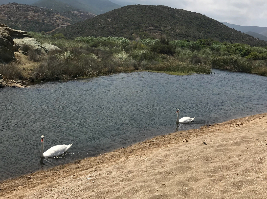 Paralia Vori-安德罗斯必去景点