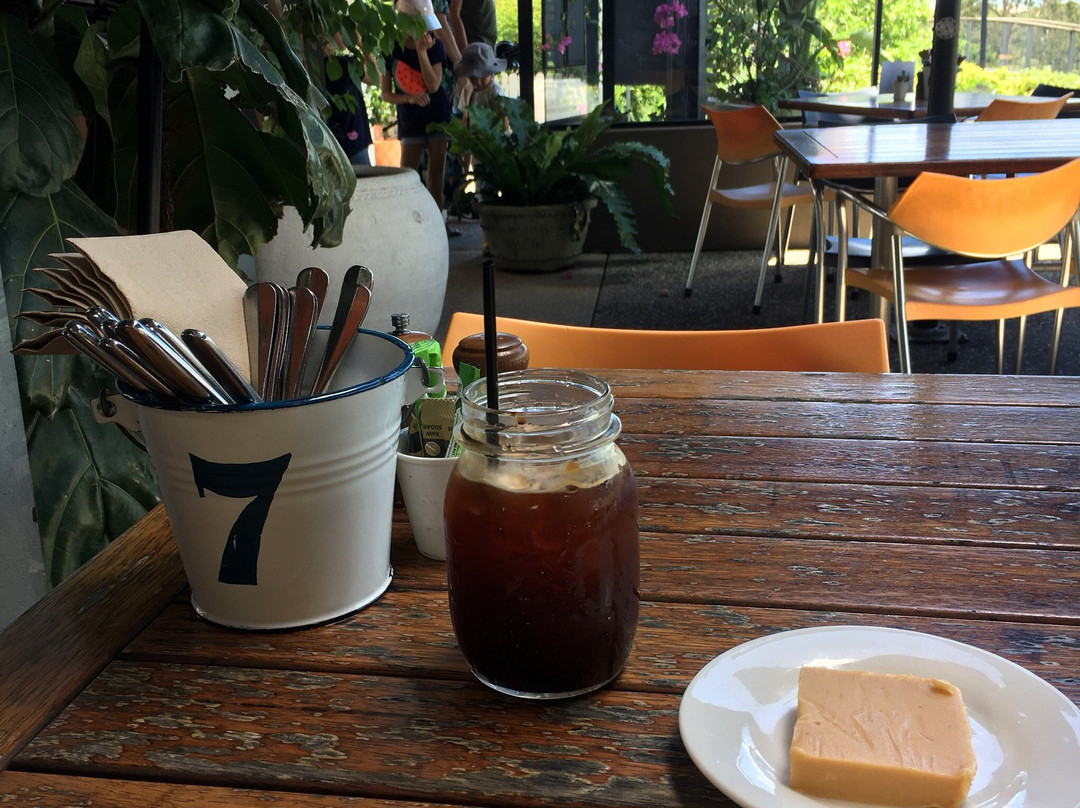 Victoria Park Golf-布里斯班必去景点