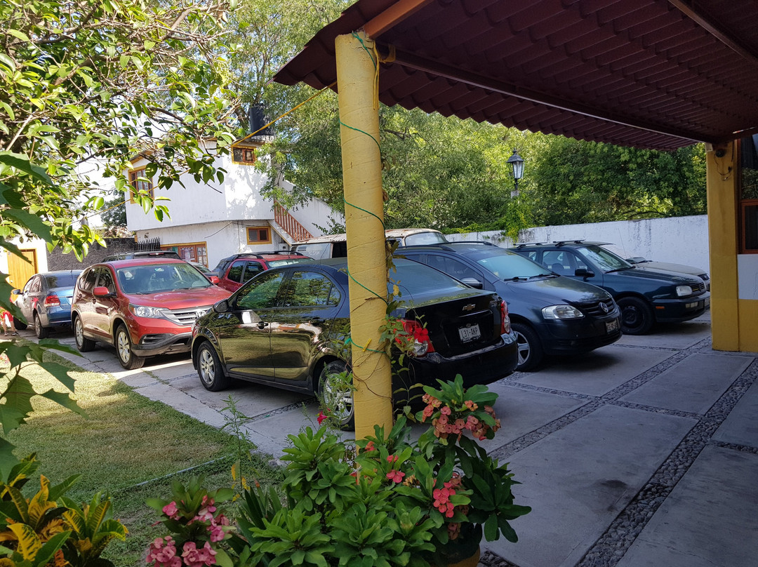 Hotel Villa de las Flores主图