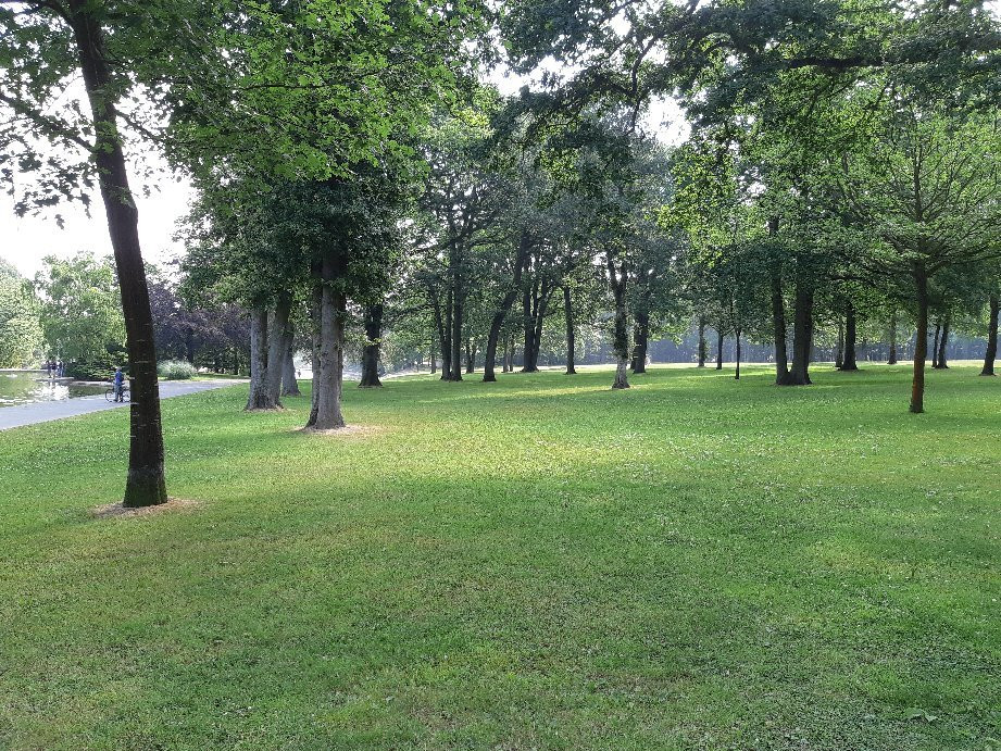 Forêt de Montgeon景点图片