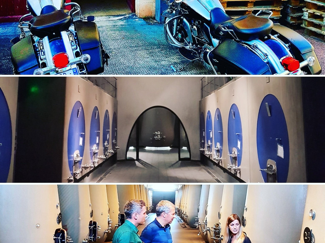 TourOchâteaux-波尔多必去景点