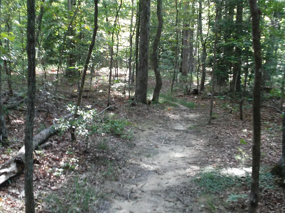 Cedarville State Forest景点图片