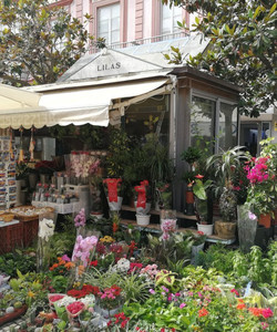 Plaza de Las Flores景点门票图片