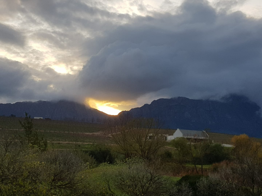 Rijks Wine Estate & Hotel主图