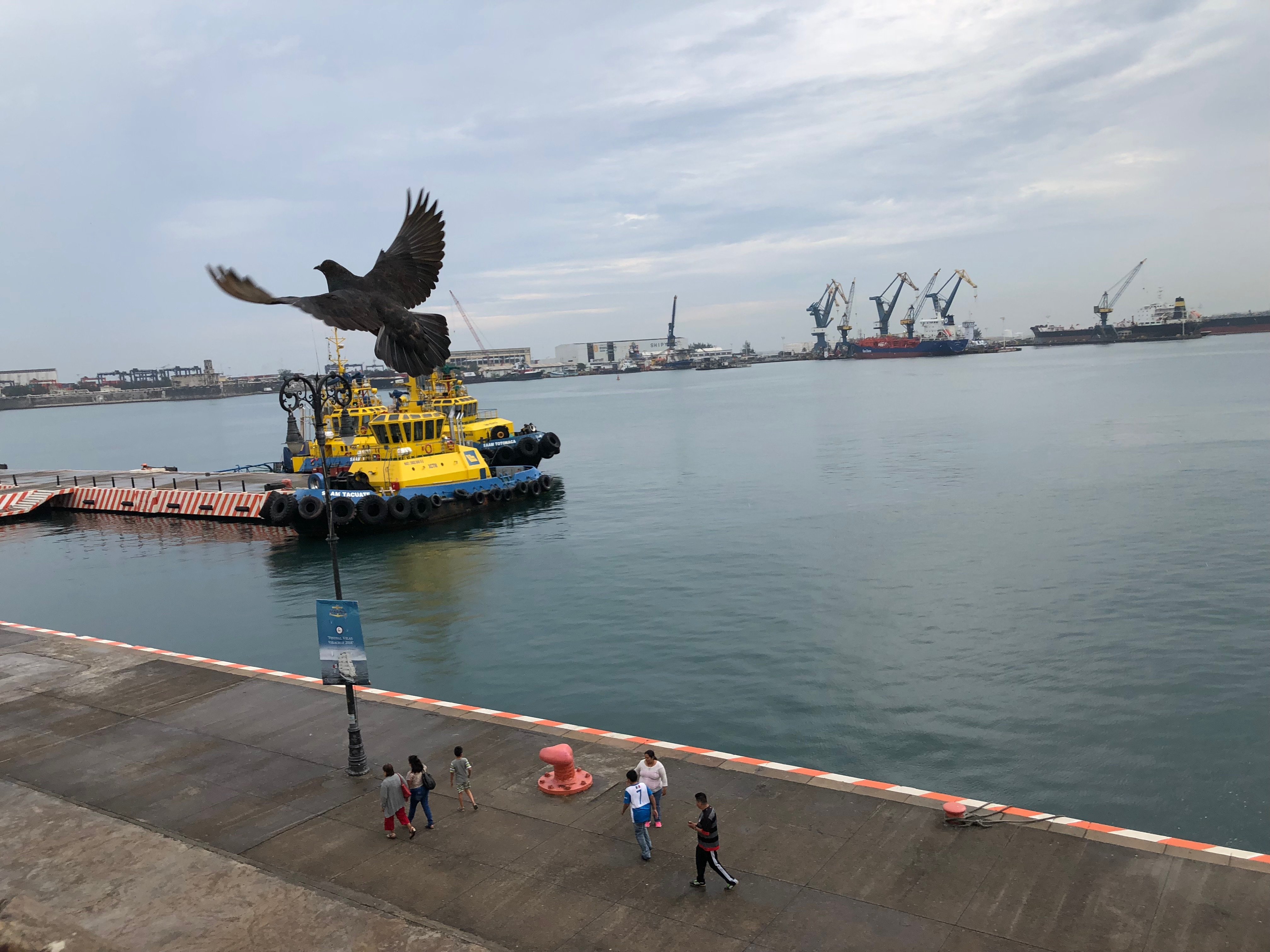 Fiesta Inn Veracruz Malecon-酒店景观