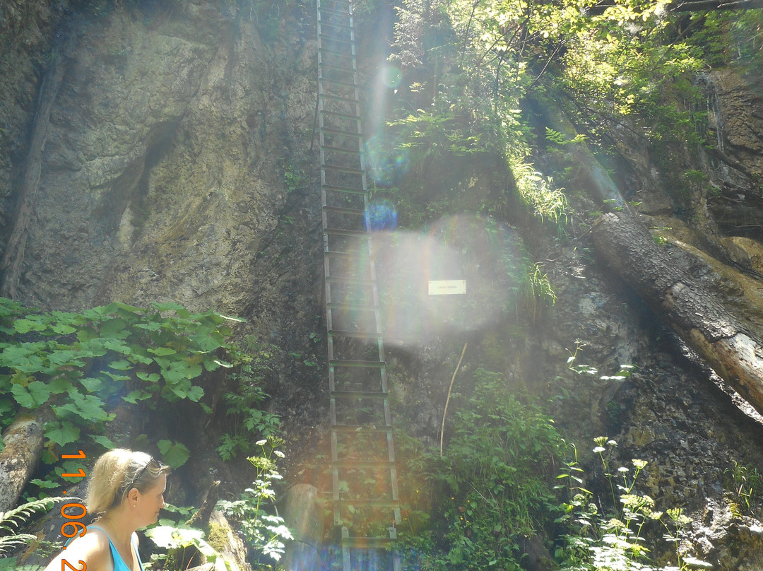 Monastery Gorge景点图片