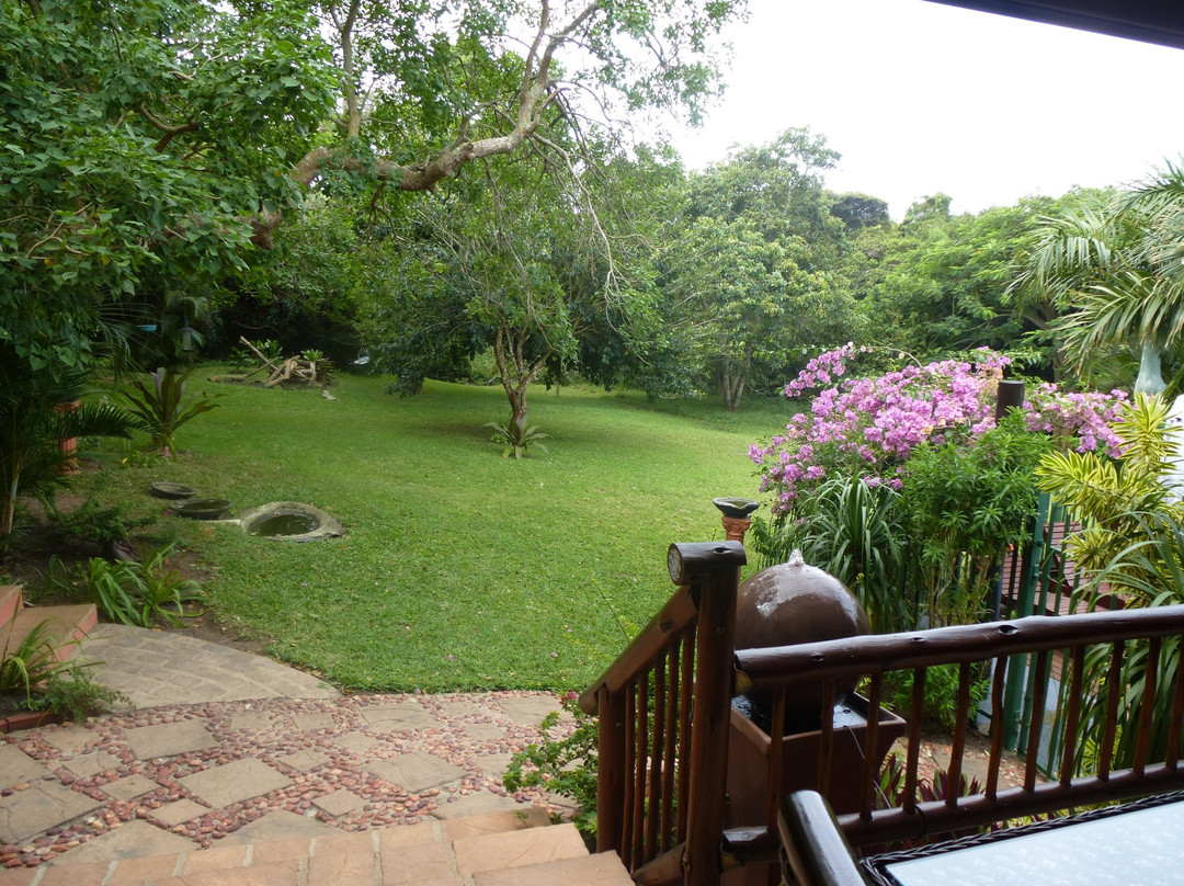 Elephant Coast Guest House主图