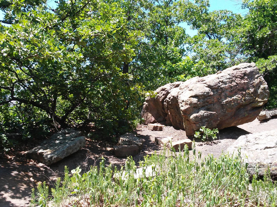 Turkey Mountain Urban Wilderness Area-塔尔萨必去景点