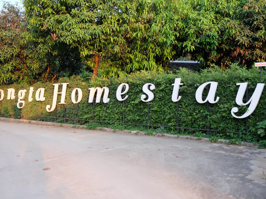 Tongta Homestay主图