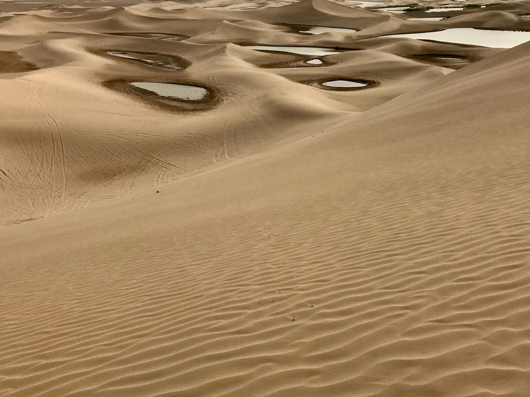 Bafgh Desert景点图片