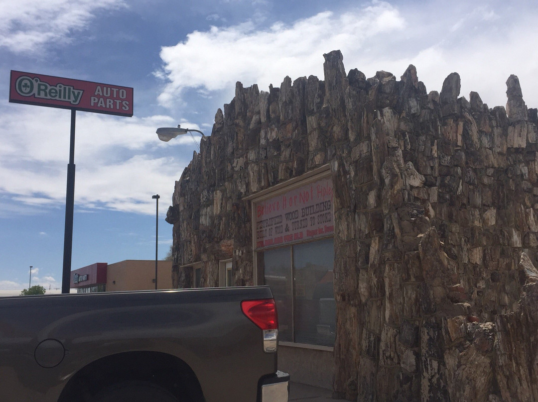 Petrified Wood Gas Station-Lamar必去景点