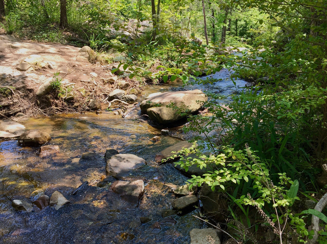 Moss Rock Preserve & Waterfalls景点图片