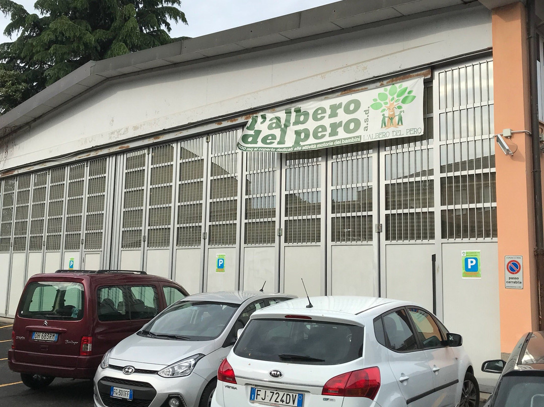 Pero旅游景点-L'albero del Pero