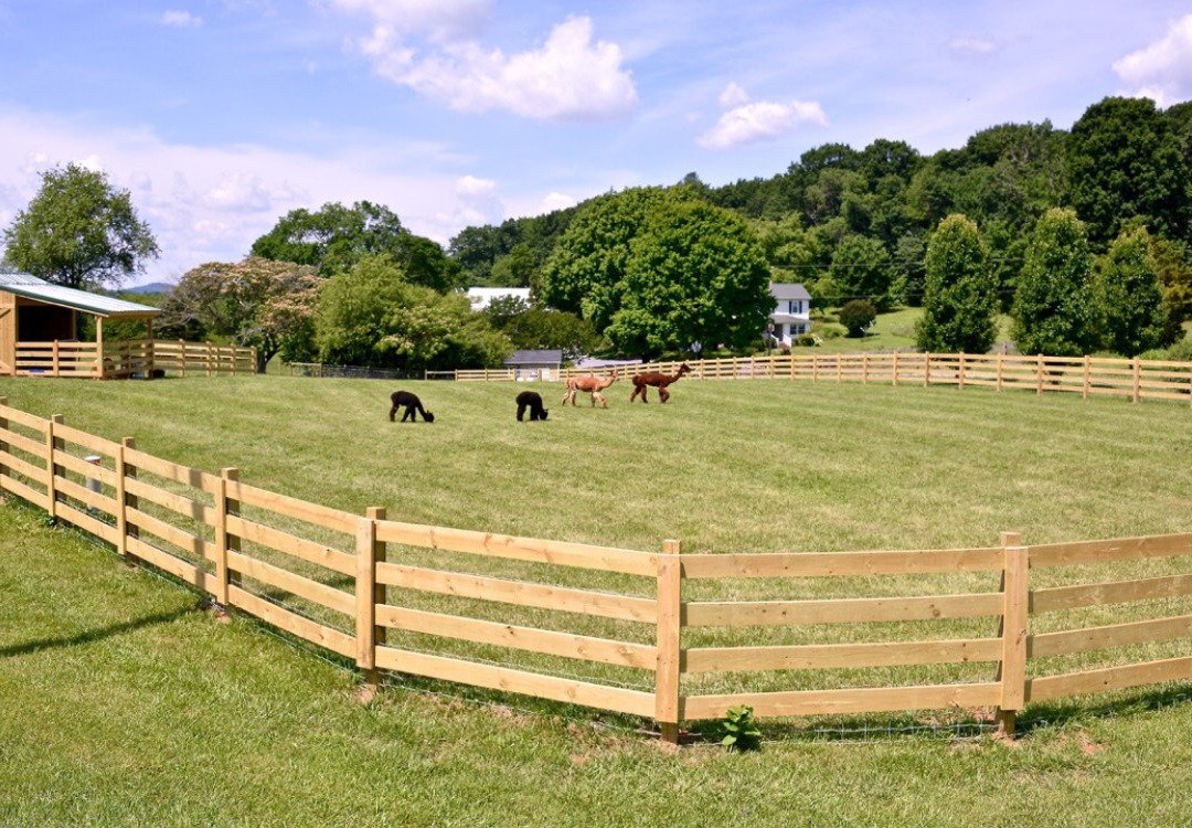 Pacabella Farm Alpacas & Boutique-Wirtz必去景点