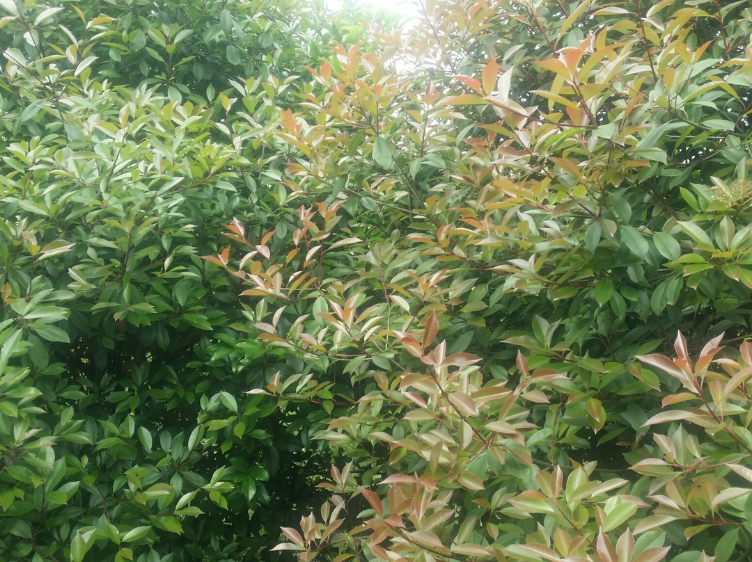 天生桥-溧水县必去景点