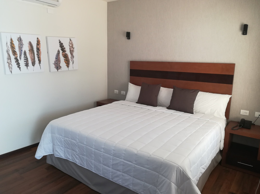 Hotel Plaza Catedral主图