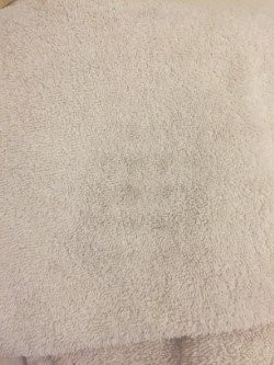 Fairfield by Marriott Inn & Suites Nogales主图